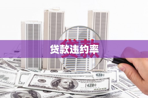 温泉贷款违约率