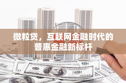 温泉微粒贷，互联网金融时代的普惠金融新标杆