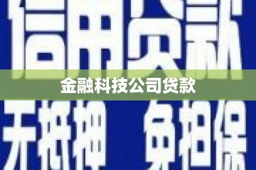 温泉金融科技公司贷款