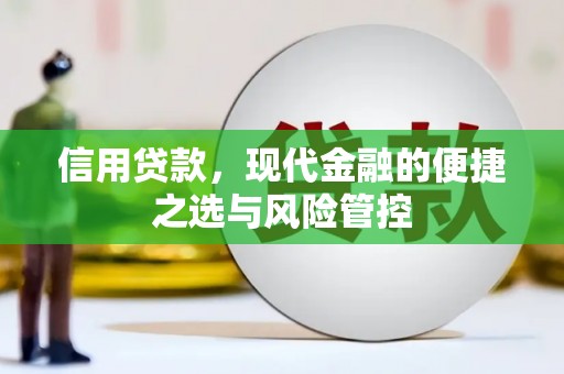 温泉信用贷款，现代金融的便捷之选与风险管控