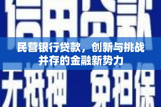 温泉民营银行贷款，创新与挑战并存的金融新势力