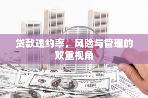 温泉贷款违约率，风险与管理的双重视角