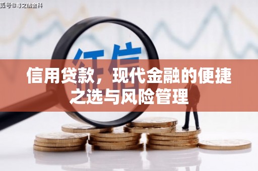 温泉信用贷款，现代金融的便捷之选与风险管理