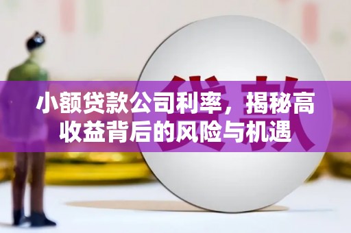 温泉小额贷款公司利率，揭秘高收益背后的风险与机遇