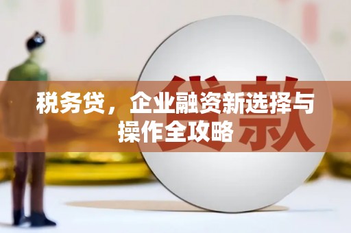 温泉税务贷，企业融资新选择与操作全攻略