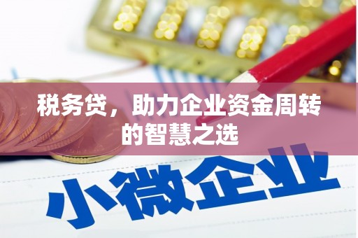 温泉税务贷，助力企业资金周转的智慧之选