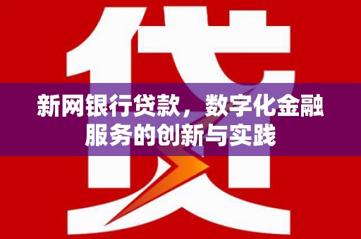温泉新网银行贷款，数字化金融服务的创新与实践