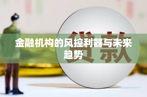 温泉金融机构的风控利器与未来趋势