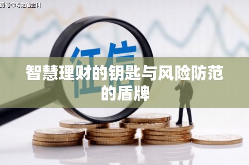 温泉智慧理财的钥匙与风险防范的盾牌