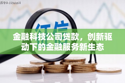 温泉金融科技公司贷款，创新驱动下的金融服务新生态