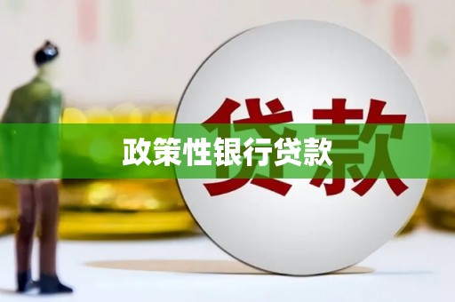 温泉政策性银行贷款