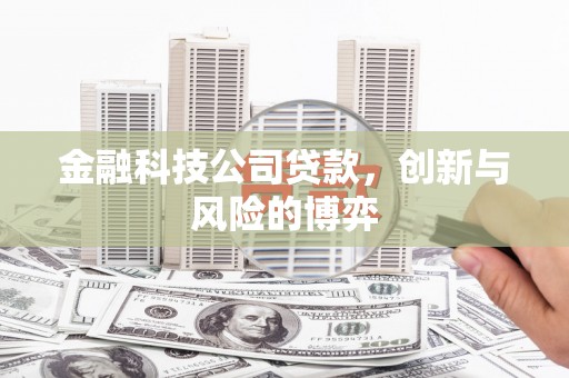 温泉金融科技公司贷款，创新与风险的博弈