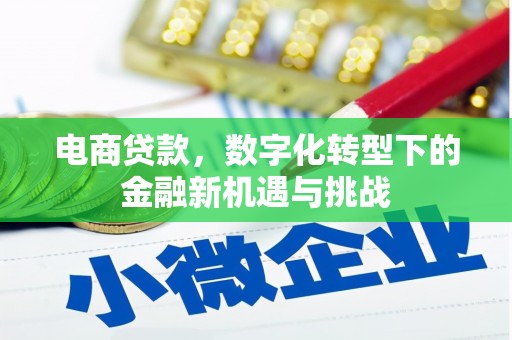 温泉电商贷款，数字化转型下的金融新机遇与挑战