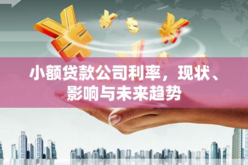 温泉小额贷款公司利率，现状、影响与未来趋势