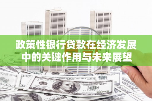 温泉政策性银行贷款在经济发展中的关键作用与未来展望