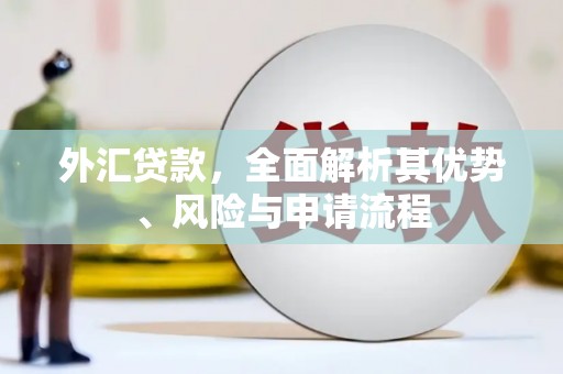 温泉外汇贷款，全面解析其优势、风险与申请流程