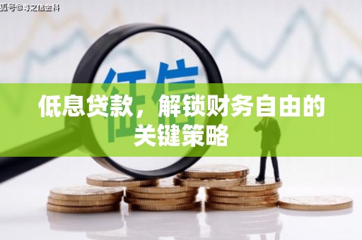 温泉低息贷款，解锁财务自由的关键策略