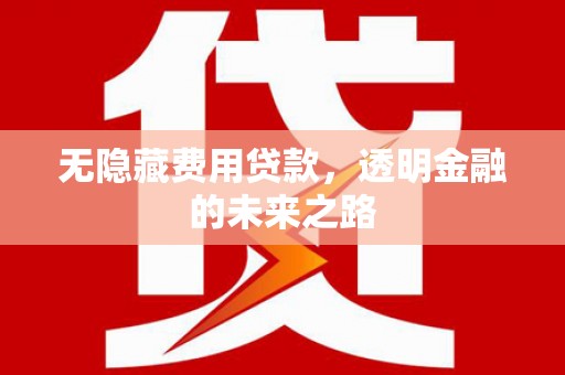 温泉无隐藏费用贷款，透明金融的未来之路