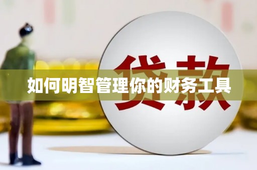 温泉如何明智管理你的财务工具