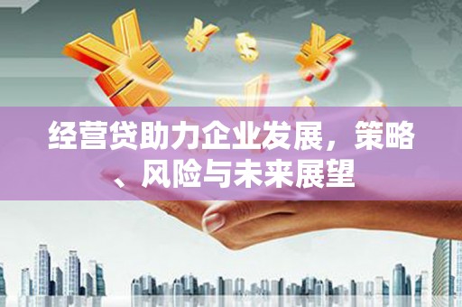 温泉经营贷助力企业发展，策略、风险与未来展望