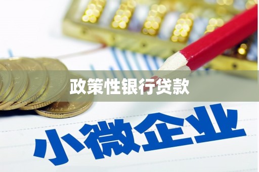 温泉政策性银行贷款