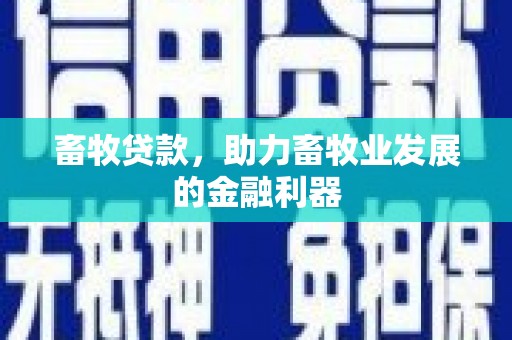温泉畜牧贷款，助力畜牧业发展的金融利器