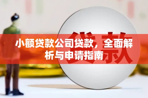 温泉小额贷款公司贷款，全面解析与申请指南