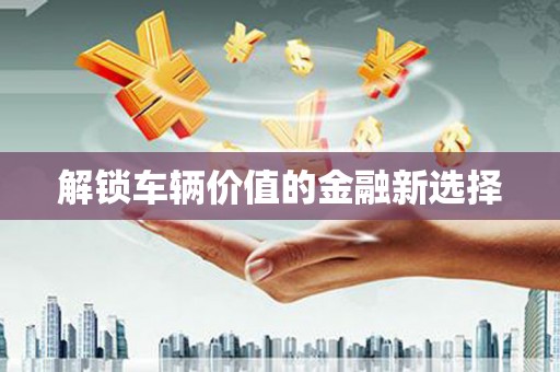 温泉解锁车辆价值的金融新选择