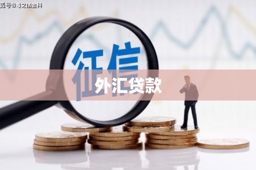 温泉外汇贷款