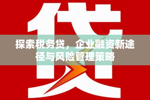 温泉探索税务贷，企业融资新途径与风险管理策略
