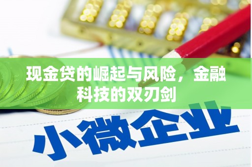 温泉现金贷的崛起与风险，金融科技的双刃剑