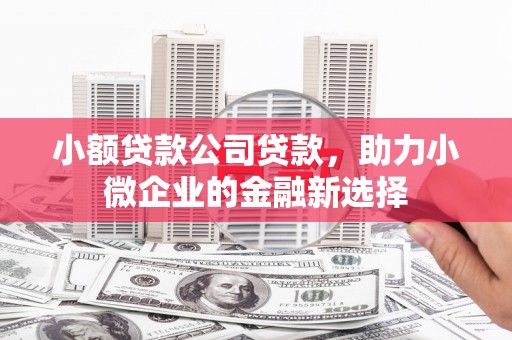 温泉小额贷款公司贷款，助力小微企业的金融新选择