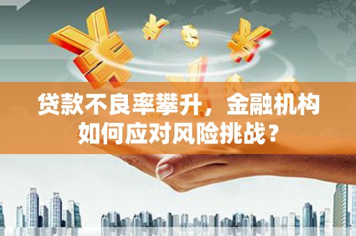 温泉贷款不良率攀升，金融机构如何应对风险挑战？