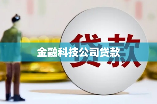 温泉金融科技公司贷款