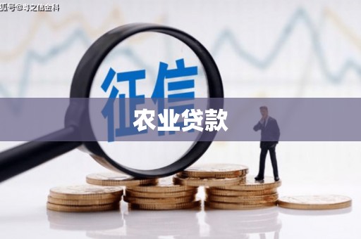 温泉农业贷款