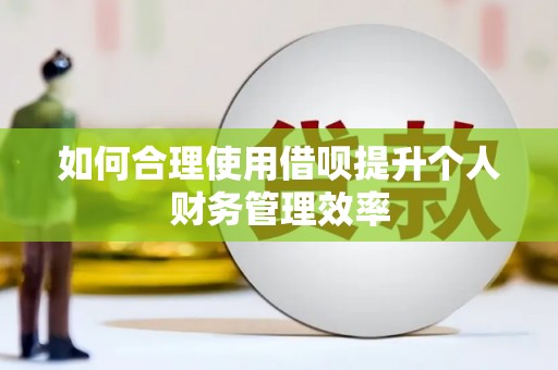 温泉如何合理使用借呗提升个人财务管理效率