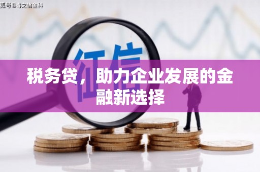 温泉税务贷，助力企业发展的金融新选择