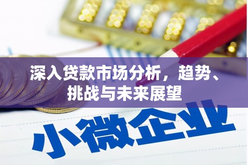 温泉深入贷款市场分析，趋势、挑战与未来展望