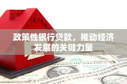 温泉政策性银行贷款，推动经济发展的关键力量
