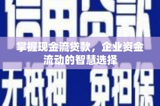 温泉掌握现金流贷款，企业资金流动的智慧选择
