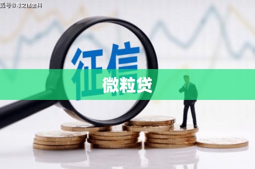 温泉微粒贷