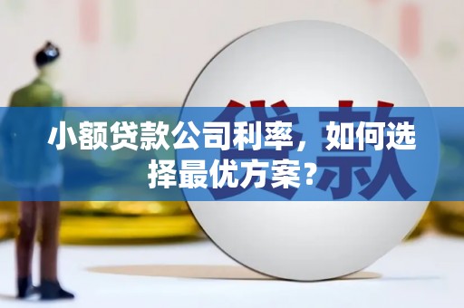 温泉小额贷款公司利率，如何选择最优方案？