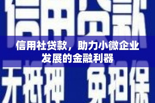 温泉信用社贷款，助力小微企业发展的金融利器