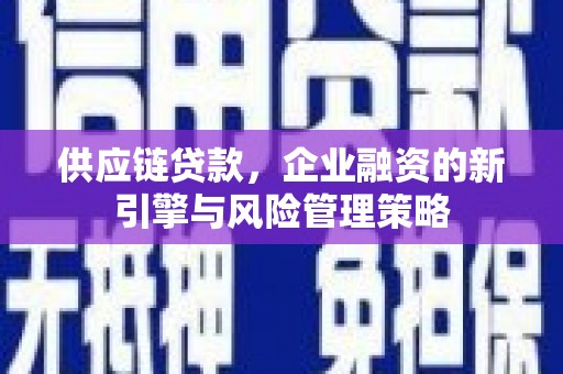 温泉供应链贷款，企业融资的新引擎与风险管理策略