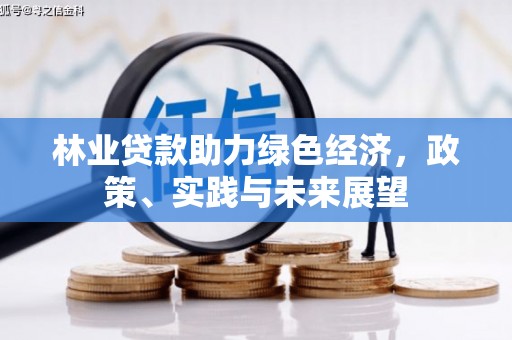温泉林业贷款助力绿色经济，政策、实践与未来展望