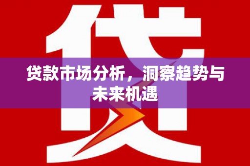 温泉贷款市场分析，洞察趋势与未来机遇