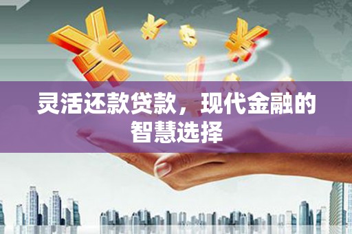 温泉灵活还款贷款，现代金融的智慧选择