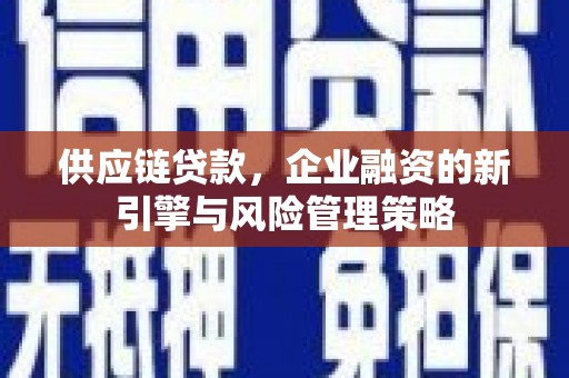 温泉供应链贷款，企业融资的新引擎与风险管理策略