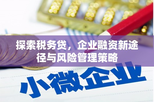 温泉探索税务贷，企业融资新途径与风险管理策略