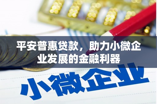 温泉平安普惠贷款，助力小微企业发展的金融利器